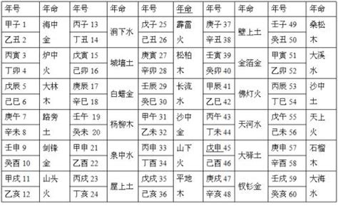 八字纳音五行解析